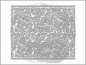 Preview: Acanthus-Design