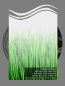 Preview: Glasdekorfolie "schilf" farbig bedruckt