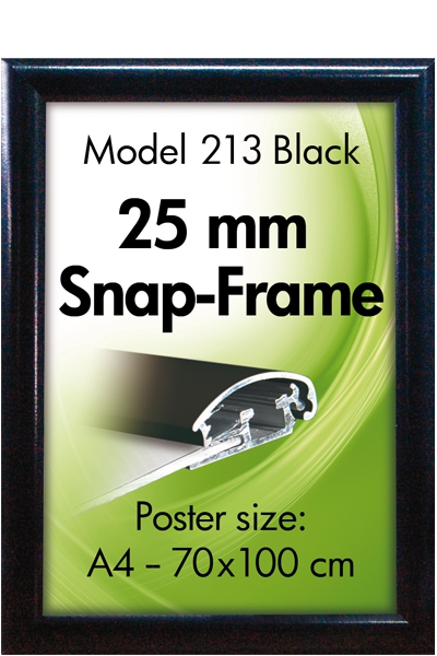 Modell 213 DIN A3 297 x 420 mm